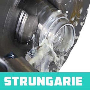 Strungarie Pantelimon